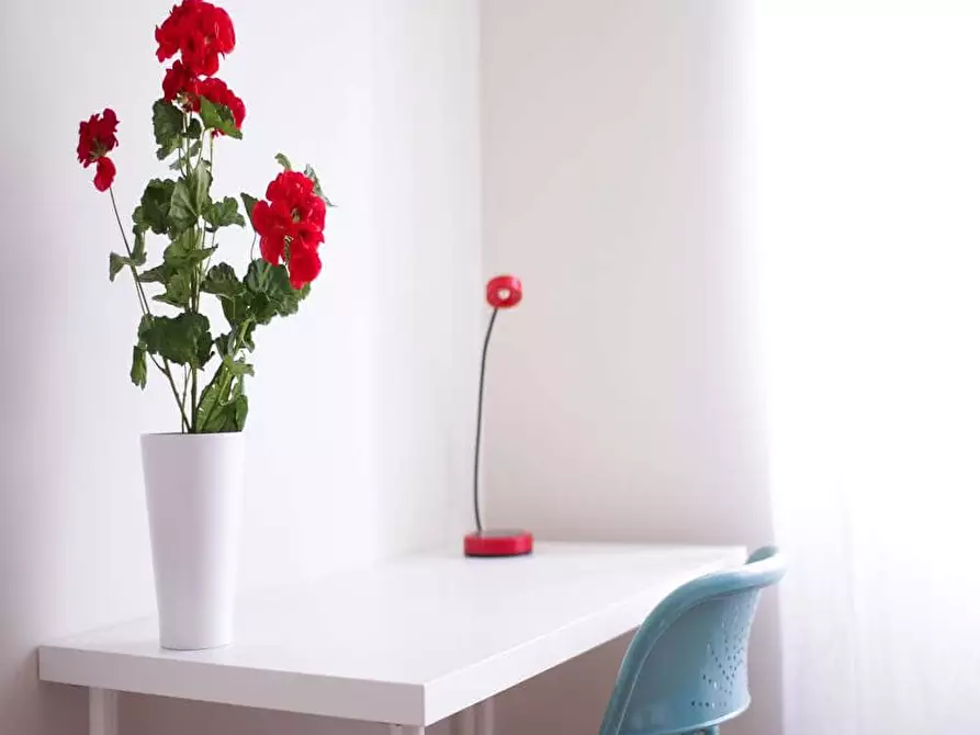 Immagine 5 di Camera in affitto  in Viale Brianza12/A a Milano