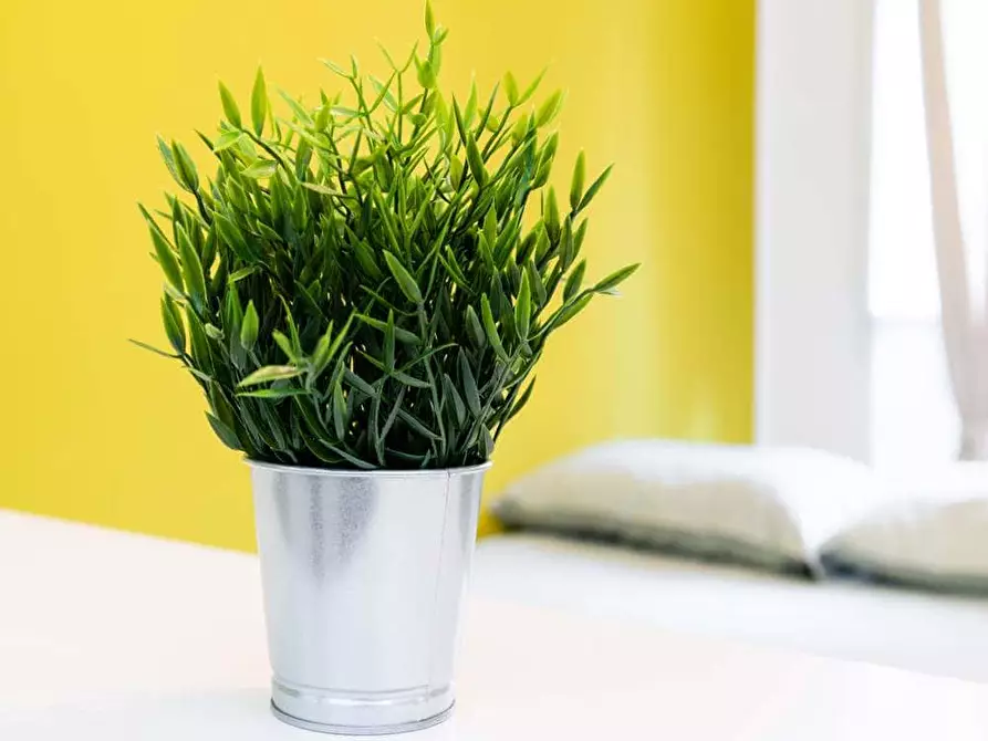 Immagine 5 di Camera in affitto  in Via Carlo Goldoni15 a Milano