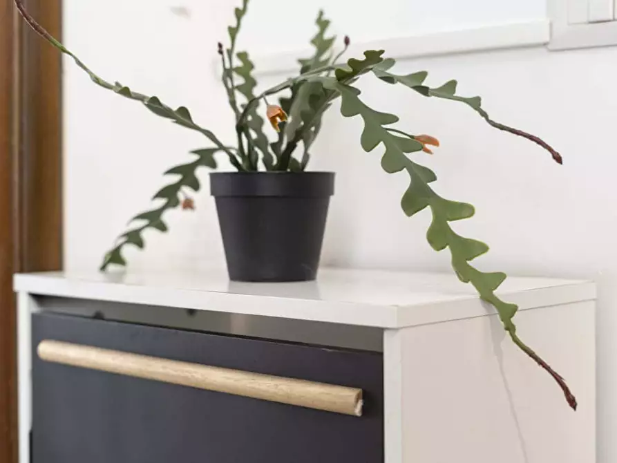 Immagine 19 di Appartamento in affitto  in Via Luigi Pasteur15 a Milano