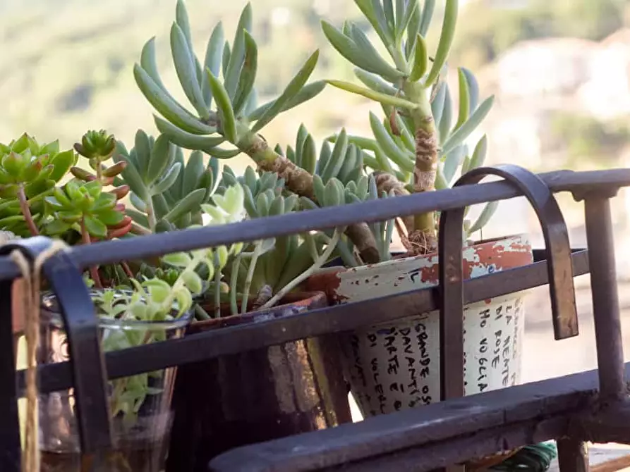 Immagine 22 di Appartamento in affitto  in Via Cavour81 a Carpineto Romano