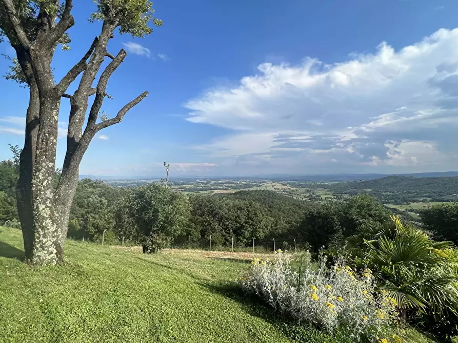 Immagine 21 di Appartamento in affitto  in Via della Guardiola a Civitella In Val Di Chiana