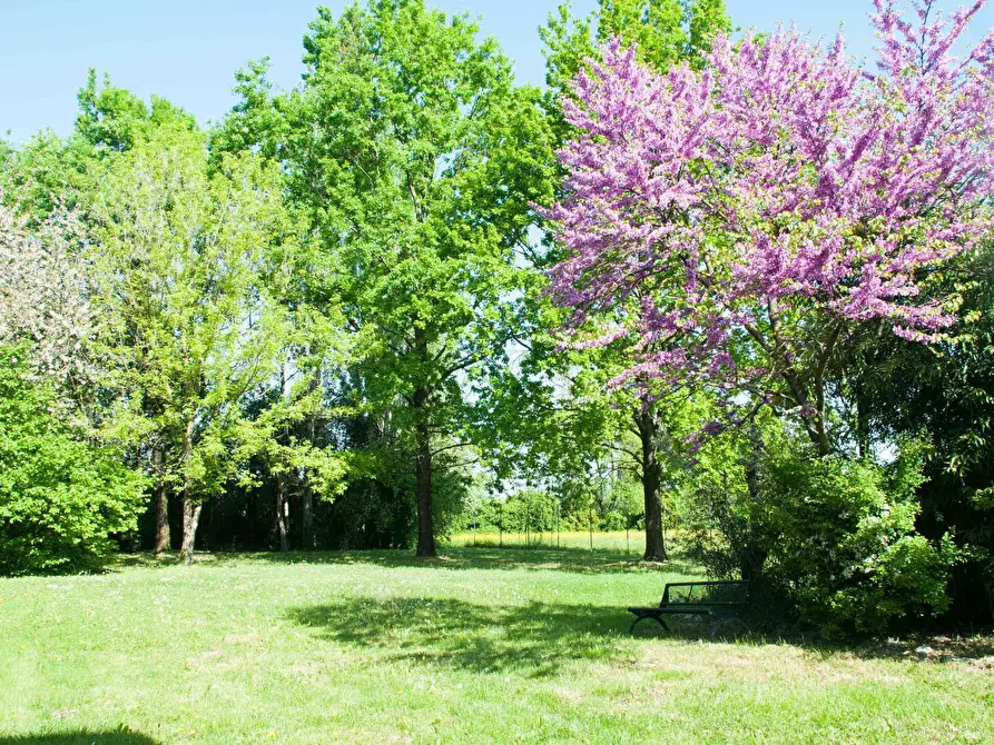 Immagine 9 di Camera in affitto  in Via Emilia 279 a Anzola Dell'emilia