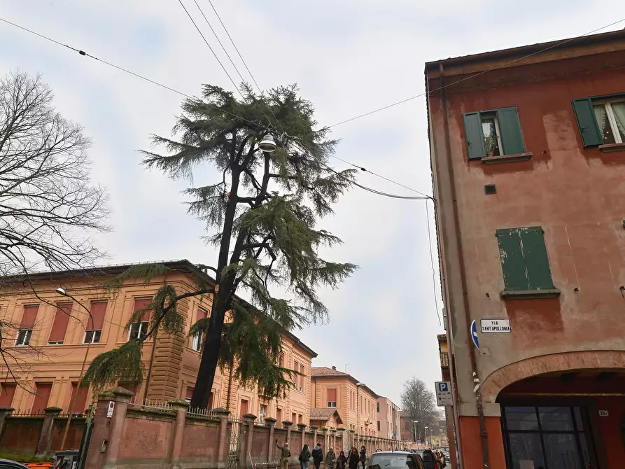 Immagine 22 di Appartamento in affitto  in Via Sant'Apollonia7 a Bologna