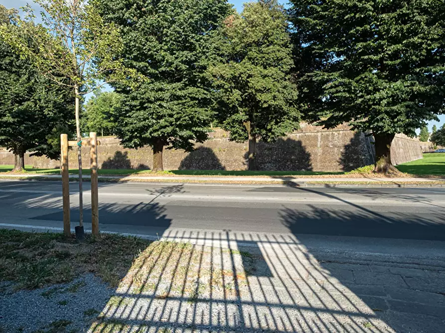 Immagine 39 di Appartamento in affitto  in Viale Lazzaro Papi117 a Lucca