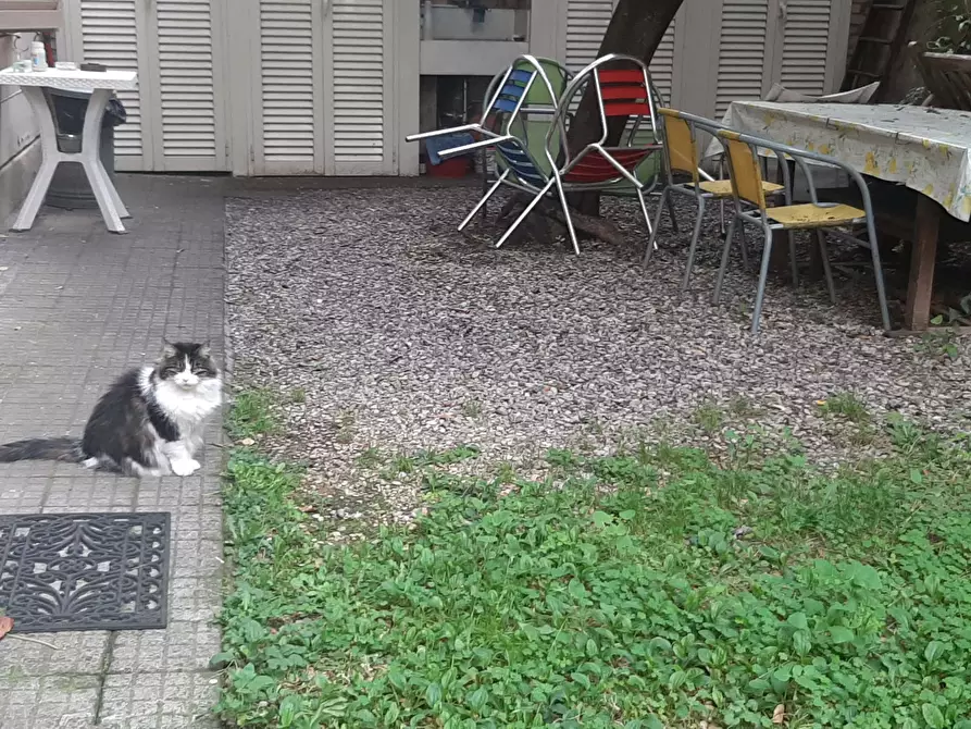 Immagine 12 di Appartamento in affitto  in Via Zara13 a Roma