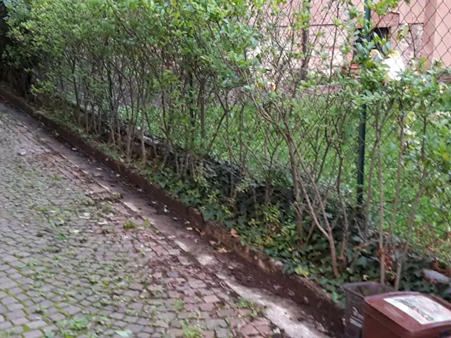 Immagine 25 di Camera in affitto  in Via Castelbarco18 a Trento