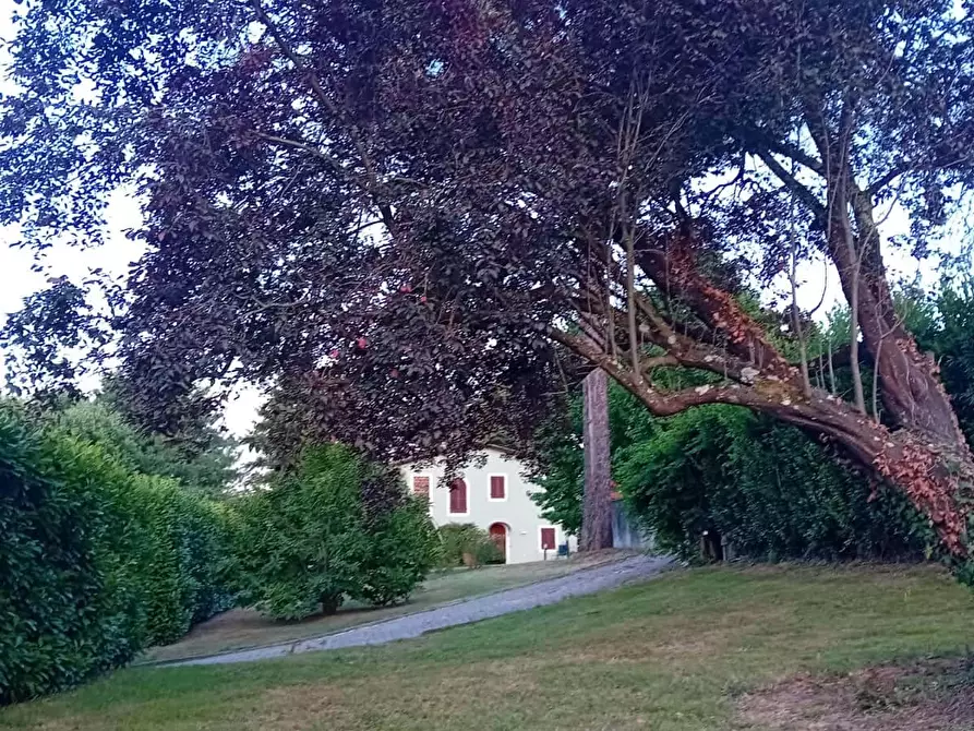 Immagine 56 di Appartamento in affitto  in Via di Tiglio601 a Capannori