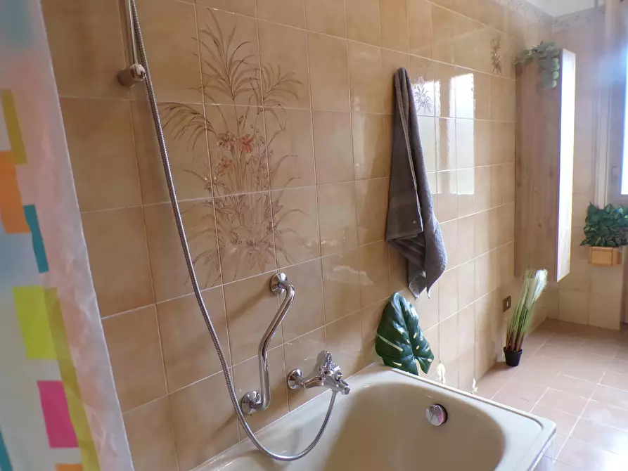 Immagine 29 di Camera in affitto  in Via Filippo Beroaldo1 a Bologna