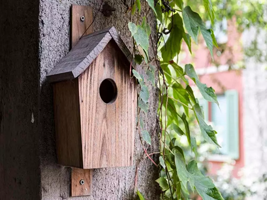 Immagine 48 di Camera in affitto  in Via Temistocle Calzecchi15 a Milano