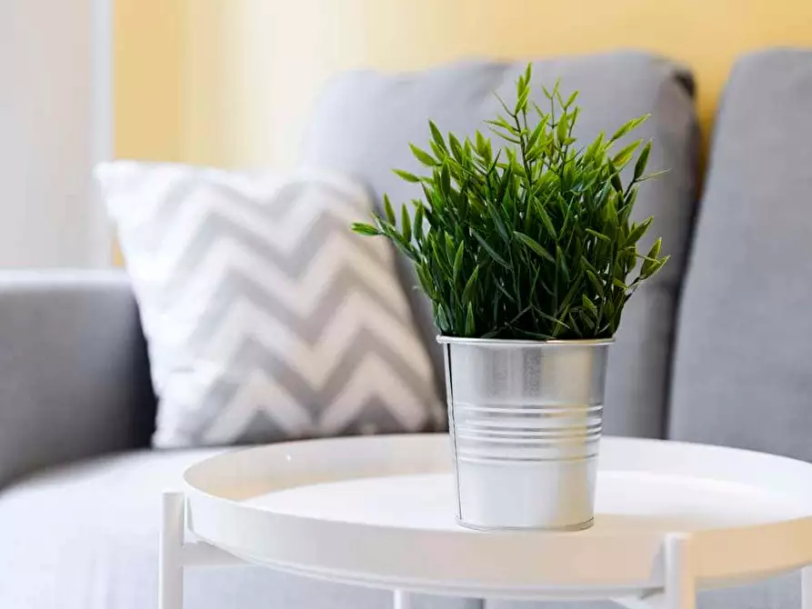 Immagine 4 di Camera in affitto  in Via Melchiorre Delfico24/2 a Milano