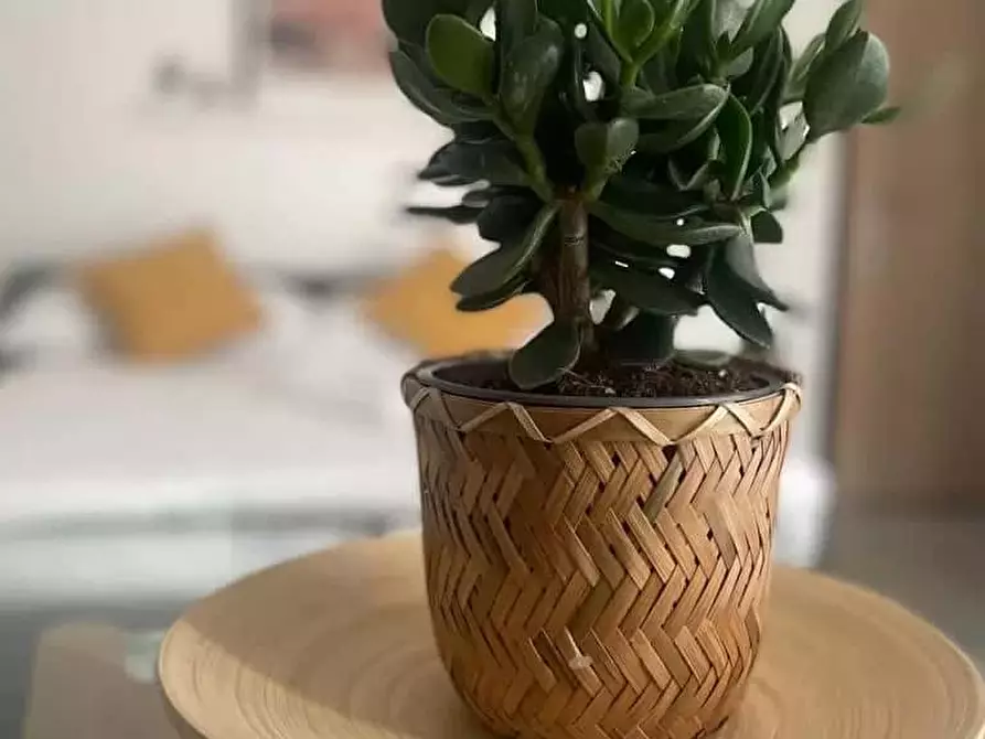 Immagine 13 di Appartamento in affitto  in Via Stendhal54 a Milano