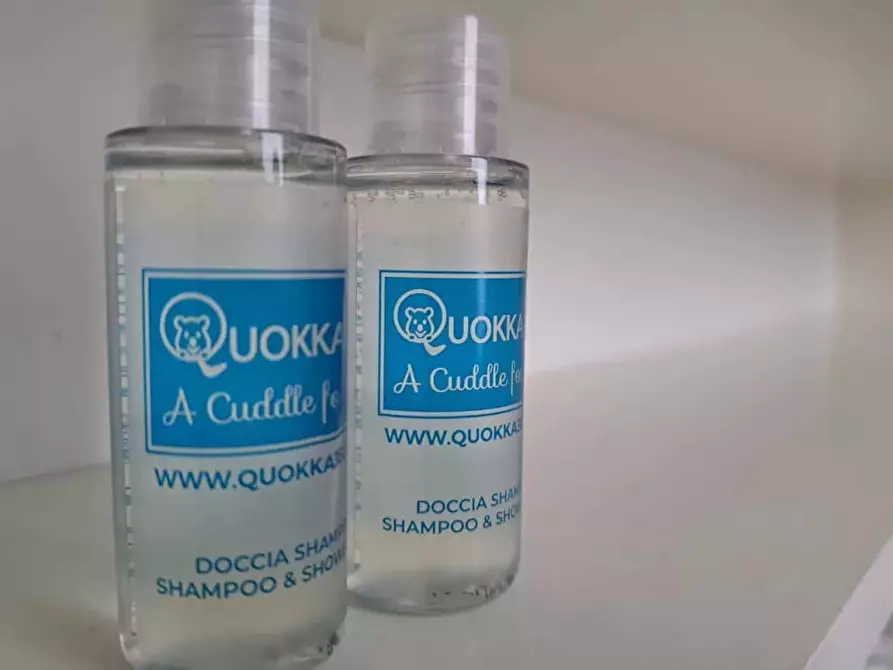 Immagine 25 di Appartamento in affitto  in Via Terra di Rezzonico30 a Argegno