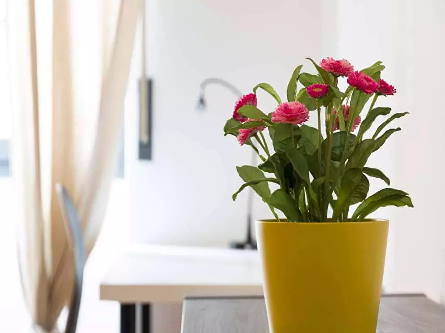 Immagine 9 di Camera in affitto  in Via Giuseppe Bruschetti11 a Milano