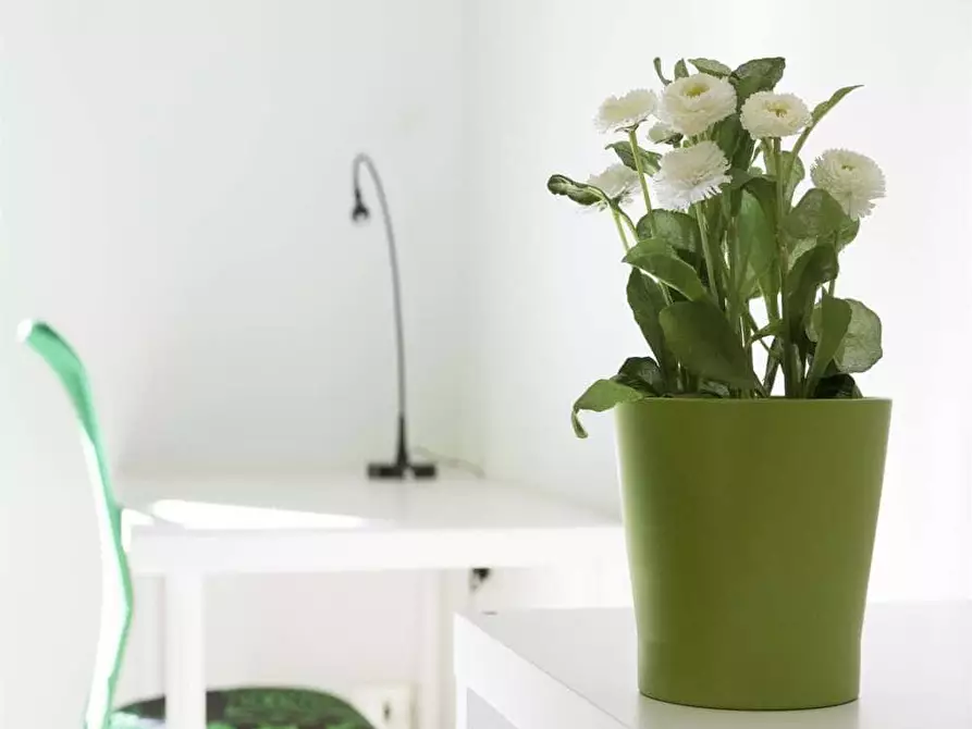 Immagine 5 di Camera in affitto  in Via Salvatore Barzilai1 a Milano