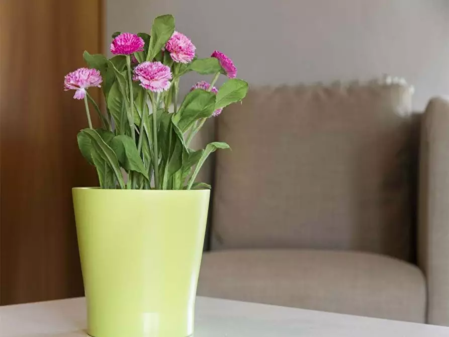 Immagine 6 di Camera in affitto  in Via Pellegrino Rossi80 a Milano