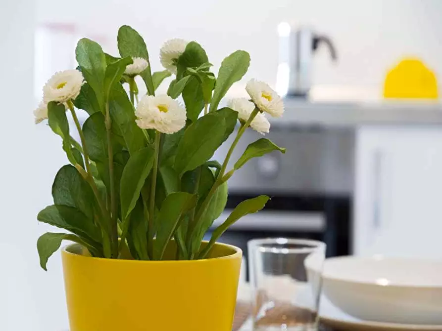 Immagine 27 di Camera in affitto  in Via Salvatore Barzilai15 a Milano