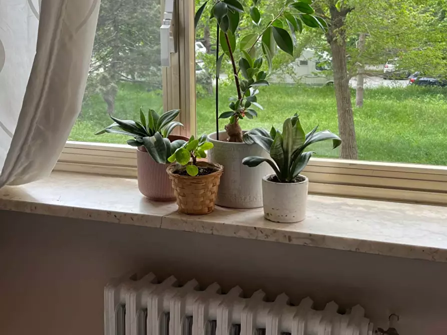 Immagine 4 di Camera in affitto  in Corso Canonico Giuseppe Allamano65 a Torino