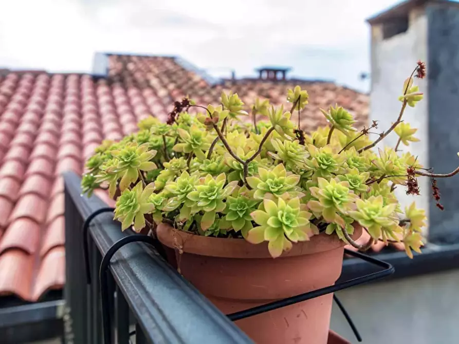 Immagine 27 di Appartamento in affitto  in Via Pietro Boldoni26 a Como