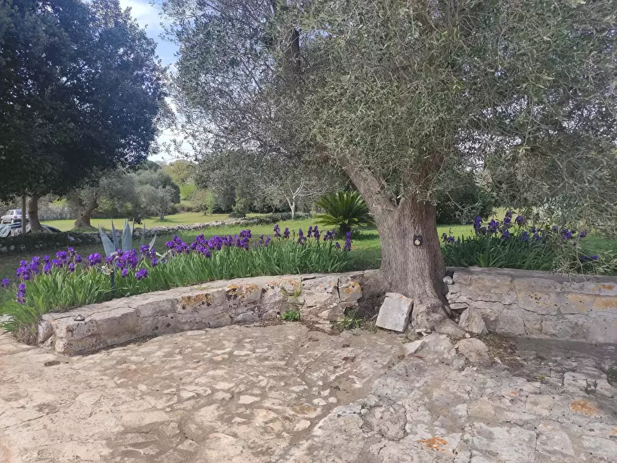 Immagine 11 di Appartamento in affitto  in Contrada Pascarosa2 a Ostuni