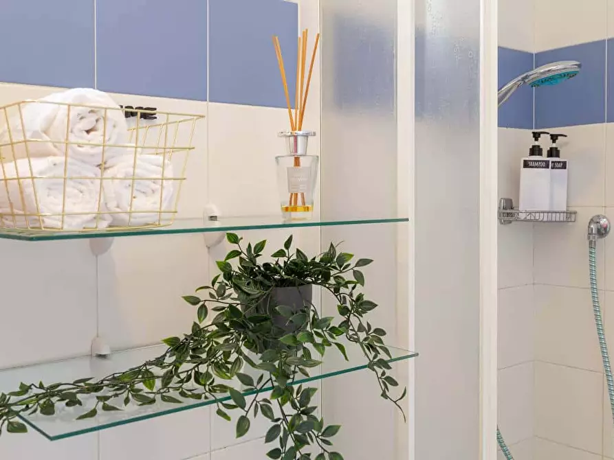 Immagine 13 di Appartamento in affitto  in Via Trento12 a Trieste