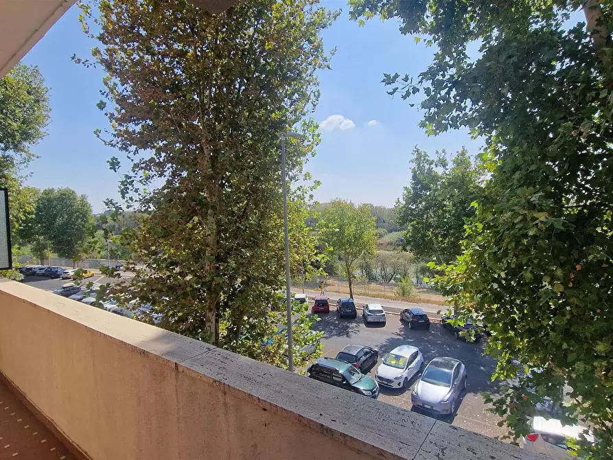 Immagine 27 di Camera in affitto  in Lungotevere di Pietra Papa61 a Roma