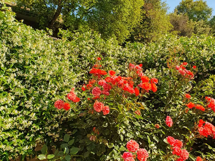 Immagine 20 di Appartamento in affitto  in Via Mario Fulvio Mariani9 a Roma