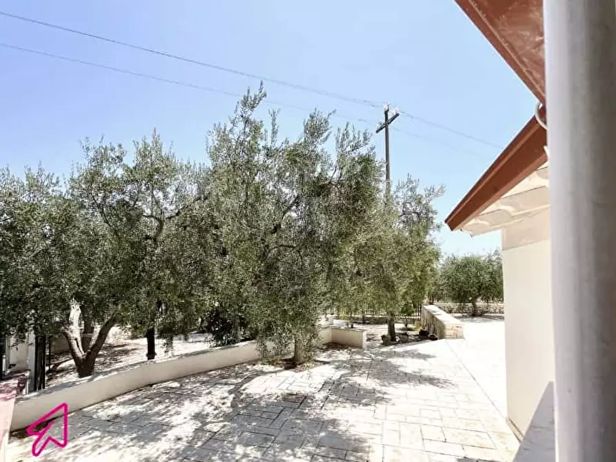 Immagine 19 di Appartamento in affitto  in Vico Macchia a Monte Sant'angelo