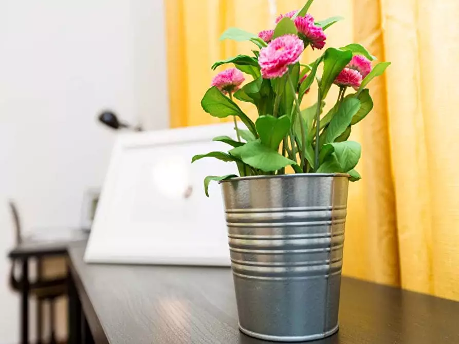 Immagine 2 di Camera in affitto  in Via Carlo Bertolazzi8 a Milano