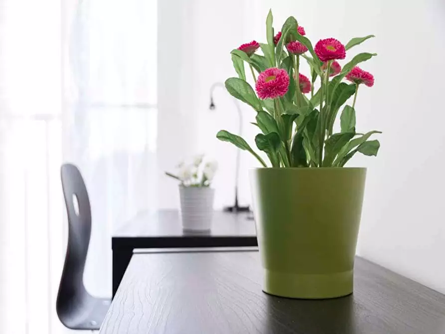 Immagine 3 di Camera in affitto  in Largo Cavalieri di Malta4 a Milano