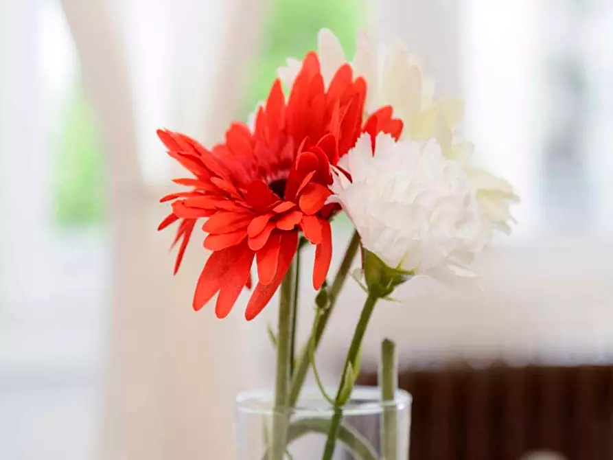 Immagine 23 di Camera in affitto  in VIA CAVEZZALI19 a Milano