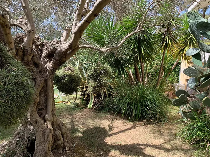 Immagine 31 di Appartamento in affitto  in Via Sisto Scaglia3 a Roma