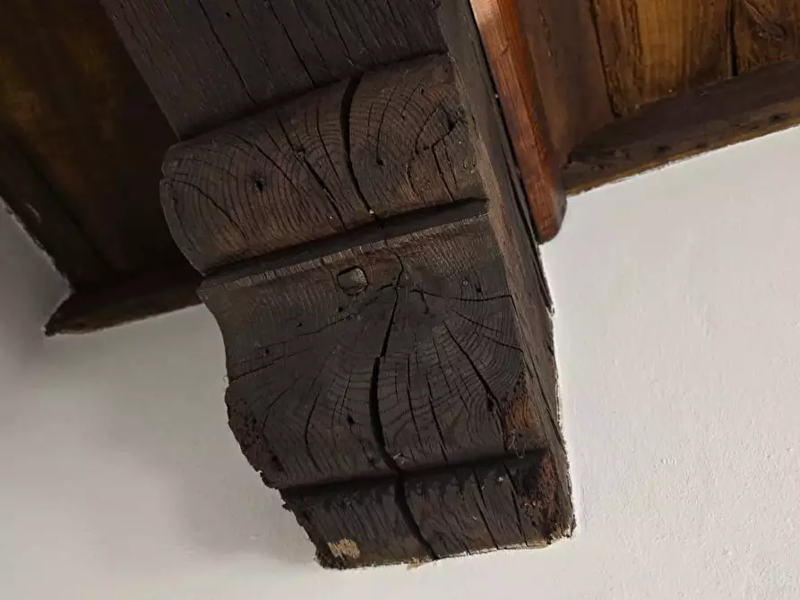 Immagine 24 di Appartamento in affitto  in Via Dungallo11 a Pavia