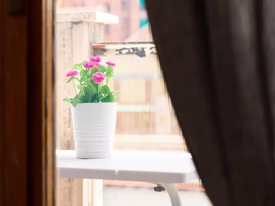 Immagine 8 di Camera in affitto  in Via Carlo Botta19 a Milano