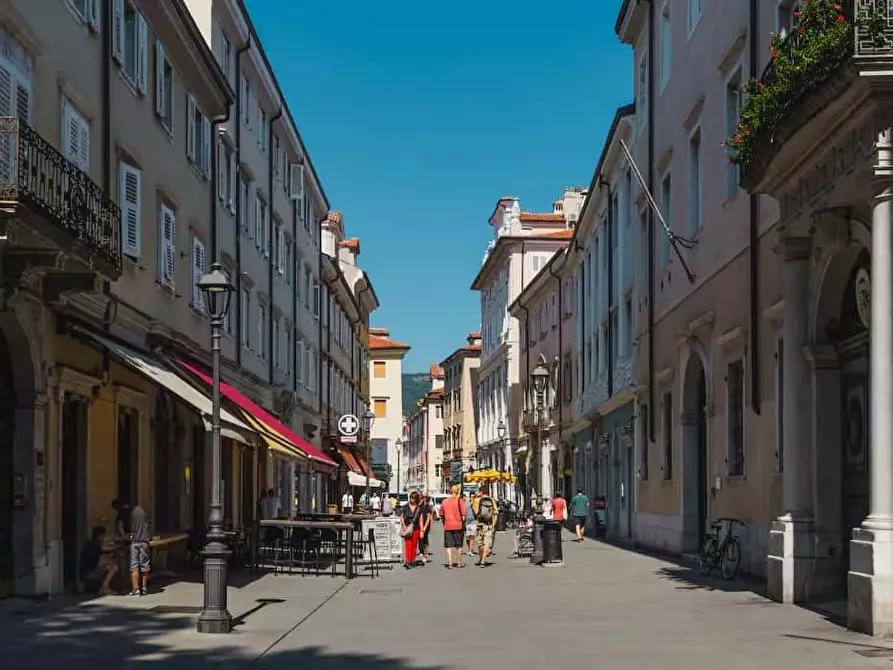 Immagine 23 di Appartamento in affitto  in Piazza Attilio Hortis7 a Trieste