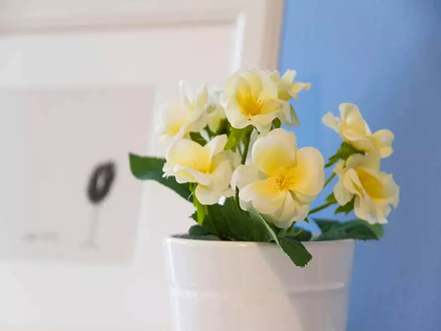 Immagine 3 di Camera in affitto  in Via Raffaello Bertieri1 a Milano