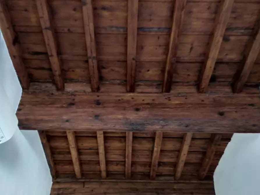 Immagine 13 di Appartamento in affitto  in Borgo San Frediano16 a Firenze