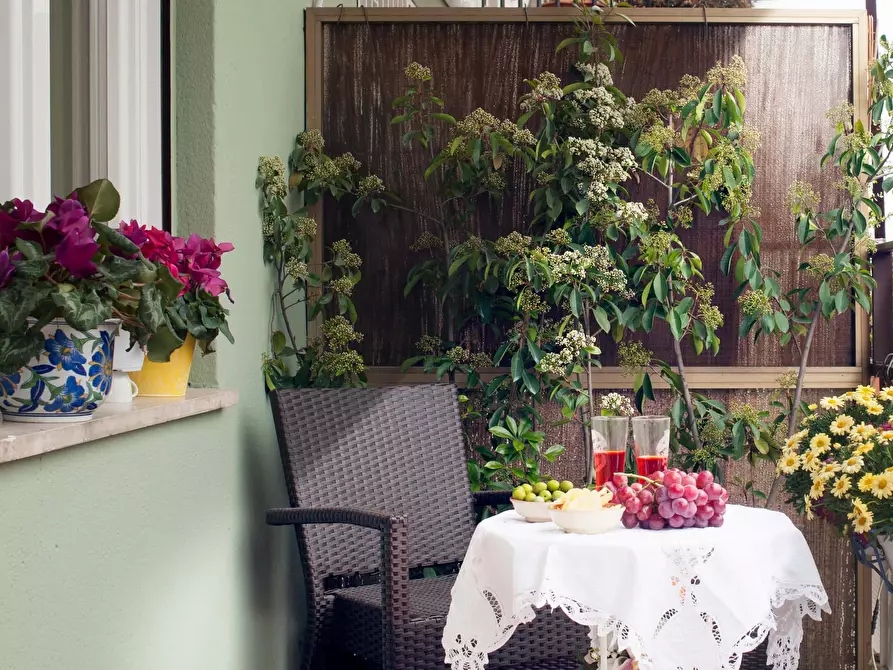 Immagine 16 di Appartamento in affitto  in Via Ettore Ciccotti11 a Roma