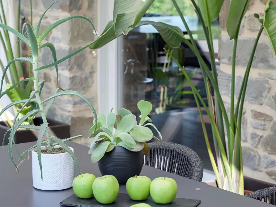 Immagine 11 di Appartamento in affitto  in Case Sparse Cortoreggio a Cortona