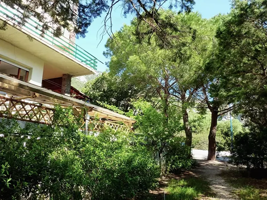 Immagine 15 di Appartamento in affitto  in Via dei Lecci10 a Dorgali