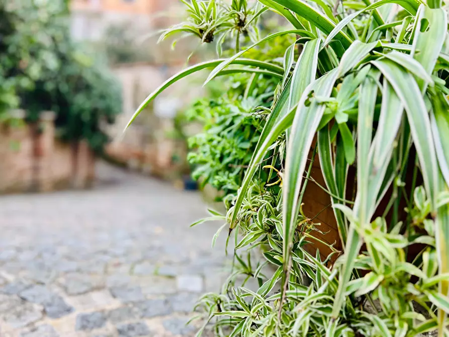 Immagine 27 di Appartamento in affitto  in Via Antonio Cesari39 a Roma