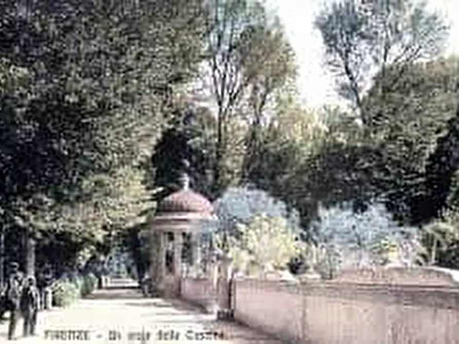 Immagine 14 di Camera in affitto  in via carissimi59 a Firenze