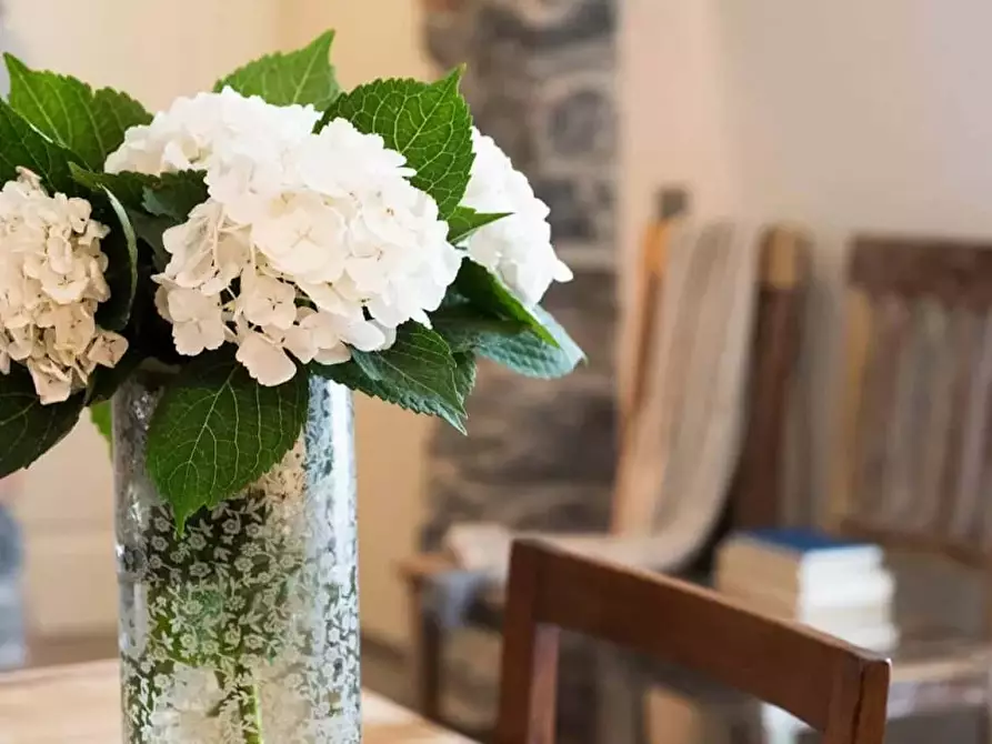 Immagine 33 di Appartamento in affitto  in Via Morazzone Pier Francesco Mazzucchelli a Como