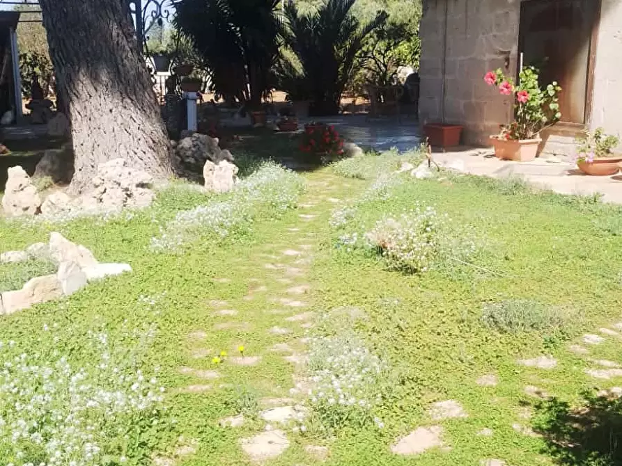 Immagine 6 di Appartamento in affitto  in SP129125 a Sava