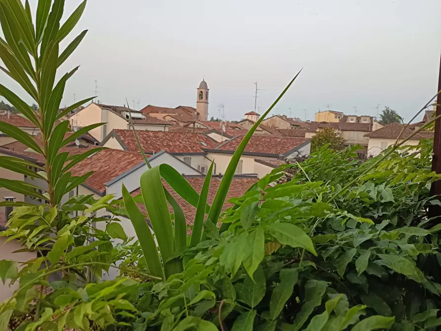 Immagine 8 di Camera in affitto  in Via Alboino4 a Pavia