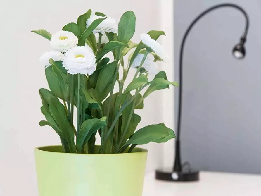 Immagine 8 di Camera in affitto  in Corso Buenos Aires9 a Milano