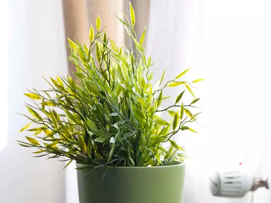 Immagine 8 di Camera in affitto  in Via Andrea Costa33 a Milano