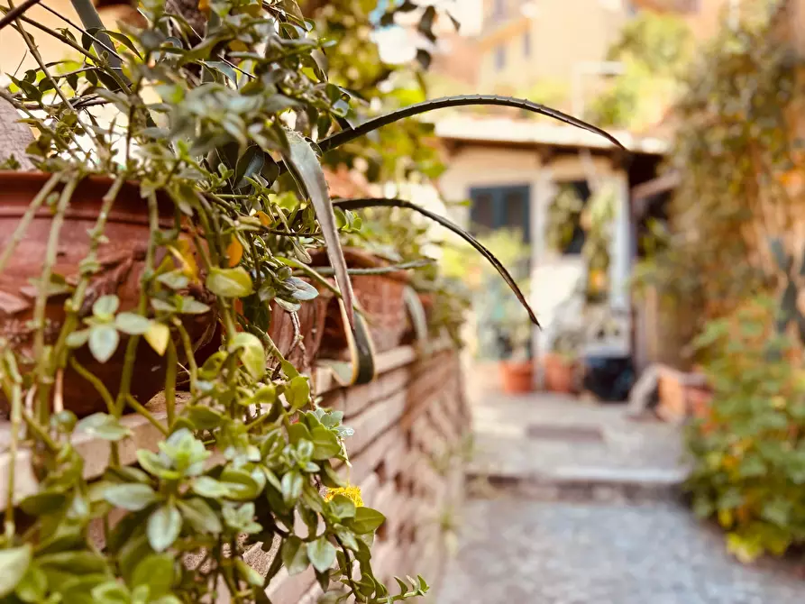 Immagine 29 di Appartamento in affitto  in Via Antonio Cesari39 a Roma