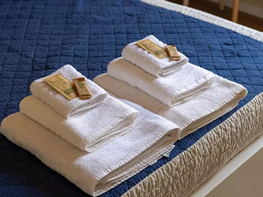 Immagine 7 di Appartamento in affitto  in Via degli Equi a Roma