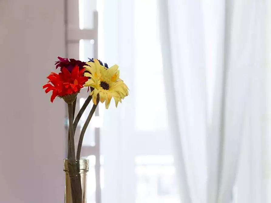 Immagine 11 di Camera in affitto  in Via Savona94 a Milano