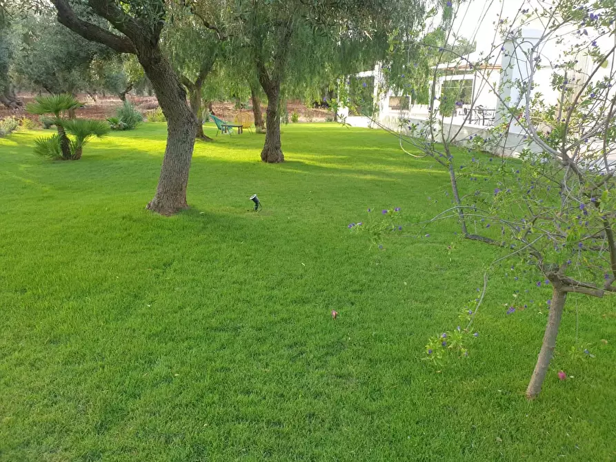 Immagine 7 di Appartamento in affitto  in Contrada Grotta dell'Acqua342 a Monopoli